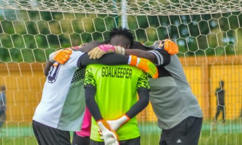 BUFFLES FC DU BORGOU : LES BONNES VOLONTÉS ACCOMPAGNENT LE CLUB