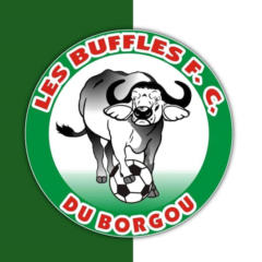 BUFFLES FC DU BORGOU